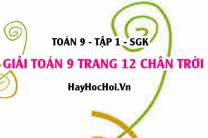 Giải Toán 9 trang 12 tập 1 Chân trời sáng tạo SGK